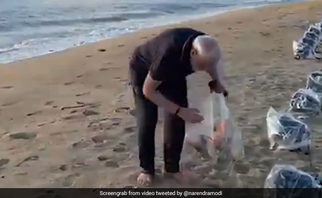 Watch: PM Modi Goes Plogging On Mamallapuram Beach Before Meet With Xi