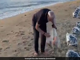 Watch: PM Modi Goes Plogging On Mamallapuram Beach Before Meet With Xi Watch: PM Modi Goes Plogging On Mamallapuram Beach Before Meet With Xi