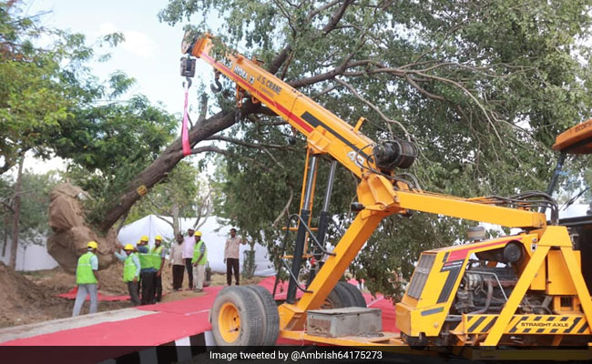 Bulldozers Enter Mumbai's Aarey To Cut Trees, 29 Activists Arrested
