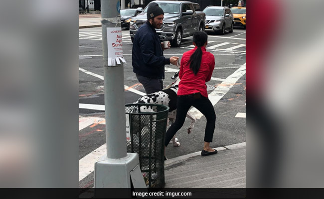 'Spider-Man' के विलेन ने ट्रैफिक जाम से बचाई कुत्ते की जान, लोग बोले- 'तुम हो असली हीरो...'