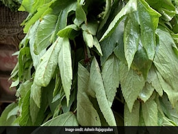 Did You Know: This Iron-Rich <i>Desi</i> Green Also Helps Relieve Constipation Did You Know: This Iron-Rich <i>Desi</i> Green Also Helps Relieve Constipation