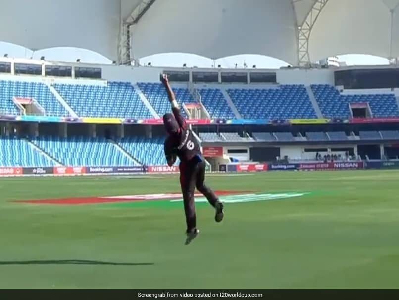Rameez Shahzads One-Handed Stunner Will Remind You Of Ben Stokes. Watch Rameez Shahzads One-Handed Stunner Will Remind You Of Ben Stokes. Watch
