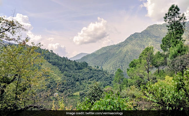 भारत में बनेगी 'ग्रीन वॉल ऑफ इंडिया', इतनी होगी लंबाई, जानिए डिटेल