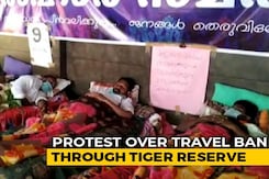 Protests In Wayanad Over Fears Of National Highway 766, Passing Through Tiger Reserve, Closing Down Protests In Wayanad Over Fears Of National Highway 766, Passing Through Tiger Reserve, Closing Down