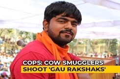 Suspected Cattle Smugglers Fire At Vigilantes In Gurugram, One Injured Suspected Cattle Smugglers Fire At Vigilantes In Gurugram, One Injured