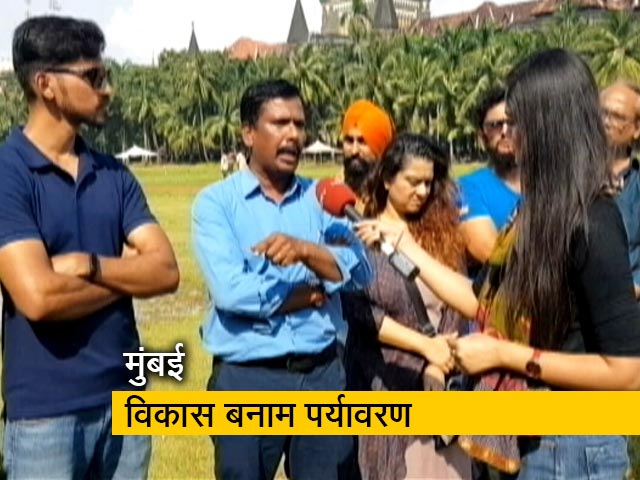 पक्ष-विपक्ष: क्या विकास की बलि चढ़ जाएंगे पेड़