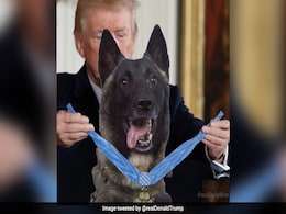 Trump Tweets Doctored Photo Of Him Honouring Dog Who Chased ISIS Chief Trump Tweets Doctored Photo Of Him Honouring Dog Who Chased ISIS Chief
