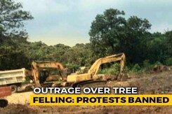 Top Court To Hear Case For Mumbai's Aarey Trees, Activists Get Bail Top Court To Hear Case For Mumbai's Aarey Trees, Activists Get Bail