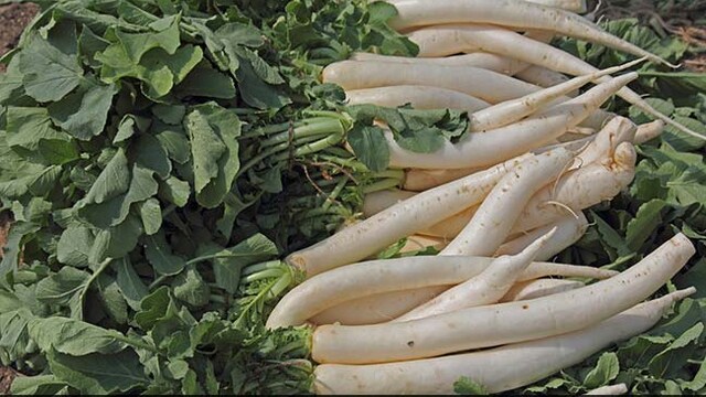 Radish leaves are rich in vitamin A and beta-carotene, which are essential for good eyesight