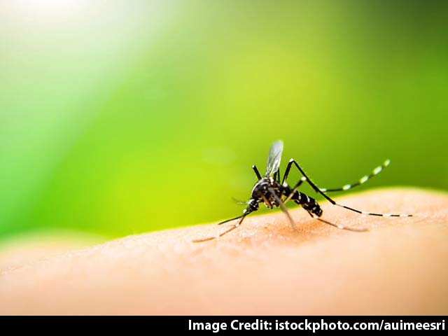How To Cure Dengue: डेंगू को कैसे रोका जा सकता है? यहां जानें डेंगू के लक्षण, कारण, इलाज और बचाव के तरीके!