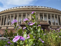 19 Rajya Sabha MPs Suspended Day After Action Against 4 Lok Sabha MPs 19 Rajya Sabha MPs Suspended Day After Action Against 4 Lok Sabha MPs