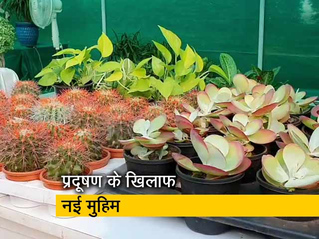 दिल्ली में प्लास्टिक के प्लांट नहीं खरीदने की अपील