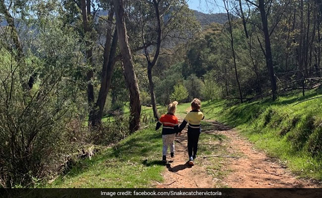 Can You Spot The Deadly Snake Lurking Near Children In This Pic?