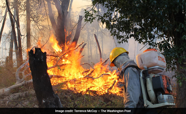 "Fire Warriors" In Amazon Stand In The Way Of Arsonists To Stop Blazes