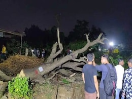 मुंबई में मेट्रो कारशेड के लिए काटे गए पेड़ों के बदले लगाए गए 61% पेड़ मर गए, 1066 में से 684 सूखे: एक्टिविस्ट का दावा मुंबई में मेट्रो कारशेड के लिए काटे गए पेड़ों के बदले लगाए गए 61% पेड़ मर गए, 1066 में से 684 सूखे: एक्टिविस्ट का दावा