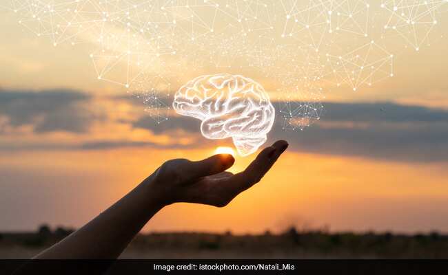 World Mental Health Day 2021: ब्रेन पावर बढ़ाने के लिए जरूर खाएं ये 5 चीजें, तनाव से मुक्ति दिलाने में भी फायदेमंद