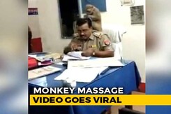 Watch: UP Cop Gets Surprise 'Grooming' Session From Monkey Watch: UP Cop Gets Surprise 'Grooming' Session From Monkey