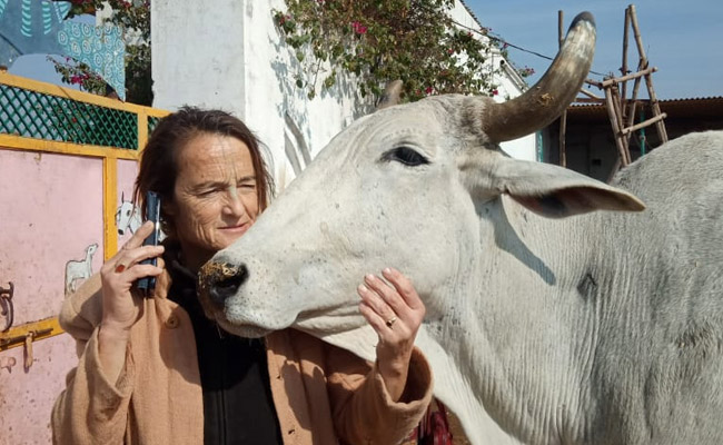 गो सेवा को समर्पित जर्मनी की फ्रेडरिक इरीना ब्रूनिंग को मिला स्वामी ब्रह्मानंद पुरस्कार