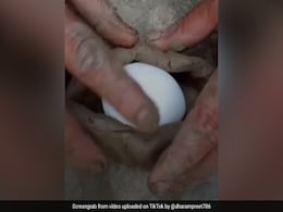 TikTok Viral: टिकटॉक पर छाया अंडे उबालने का नया Formula, देखें वायरल वीडियो TikTok Viral: टिकटॉक पर छाया अंडे उबालने का नया Formula, देखें वायरल वीडियो
