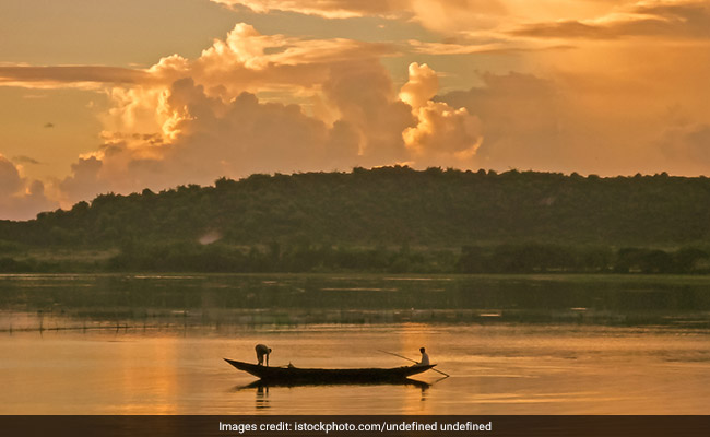 IIT Project Helps Increase Dolphin Population In Odisha's Chilika Lake