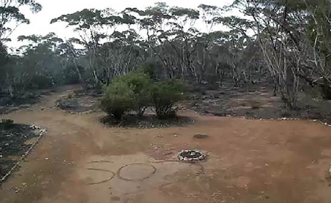 Australian Woman, Missing For 3 Days, Found After CCTV Shows 'SOS' Scrawled On Earth