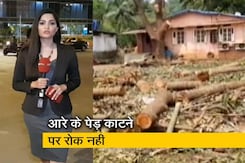 सिटी सेंटर: आरे कॉलोनी की सभी याचिकाओं को हाईकोर्ट ने किया खारिज सिटी सेंटर: आरे कॉलोनी की सभी याचिकाओं को हाईकोर्ट ने किया खारिज