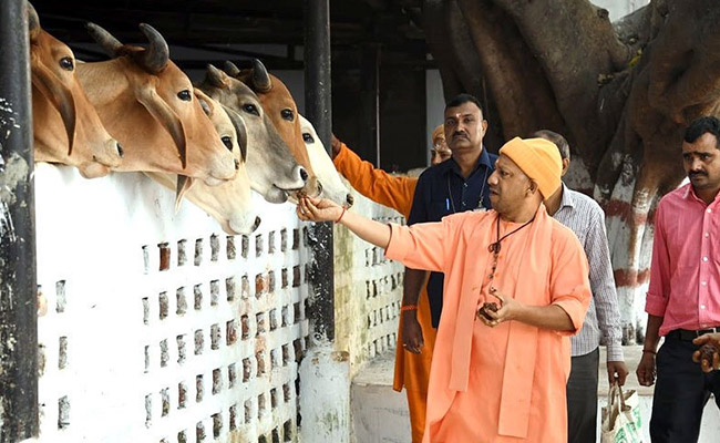 Wearing Saffron Not Enough, Follow Religion Too: Congress' Swipe At Yogi Adityanath