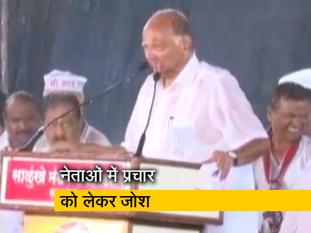 राहुल गांधी ने बच्चों के साथ खेला क्रिकेट, बारिश में शरद पवार ने दिया भाषण