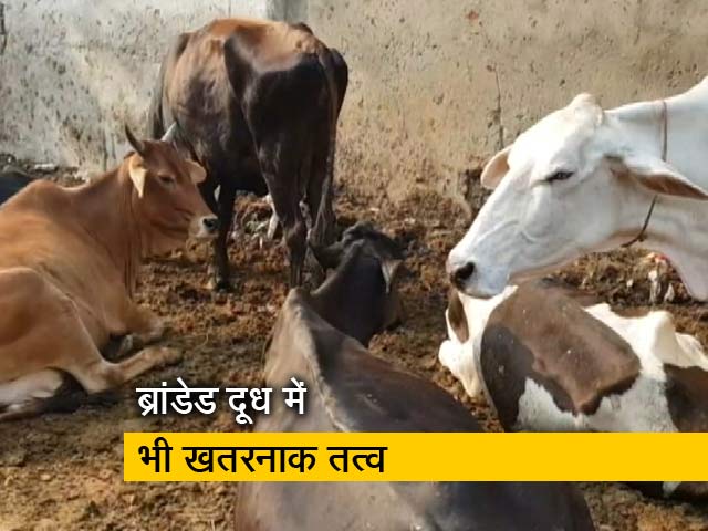 देशभर में दूध के 41 प्रतिशत सैंपल खरे नहीं उतरे