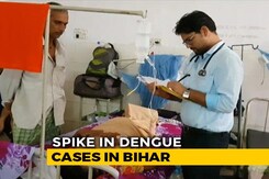 Dengue Cases Rise To 775 As Rainwater Yet To Recede From Parts Of Bihar Dengue Cases Rise To 775 As Rainwater Yet To Recede From Parts Of Bihar