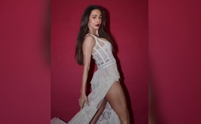 Viral Video: मलाइका अरोड़ा के बर्थडे पर TikTok पर मची धूम, देखें धमाकेदार वीडियो