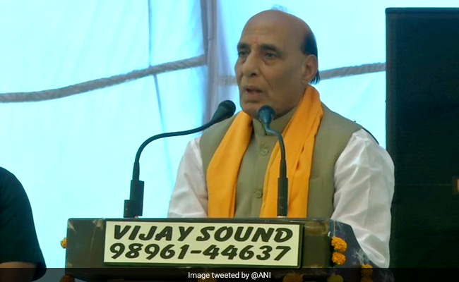 "Such Statements Strengthen Pak": Rajnath Singh On '<i>Shastra Puja</i>' Critics