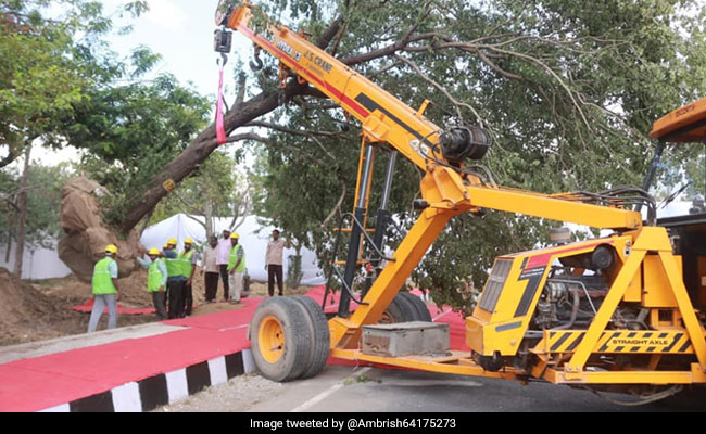 Court Pulls Up Civic Body Over Notice To Cut 177 Trees In Mumbai's Aarey