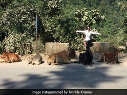 Twinkle Khanna's 'Six Cows' Joke Is Cracking Up The Internet Twinkle Khanna's 'Six Cows' Joke Is Cracking Up The Internet