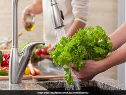Watch: This Smart Hack Will Keep Your Lettuce Leaves Fresh For Up To A Month! Watch: This Smart Hack Will Keep Your Lettuce Leaves Fresh For Up To A Month!