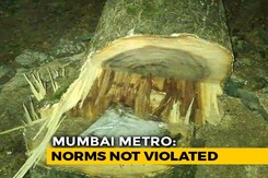 Bulldozers Enter Mumbai's Aarey To Cut Trees, 29 Activists Arrested Bulldozers Enter Mumbai's Aarey To Cut Trees, 29 Activists Arrested