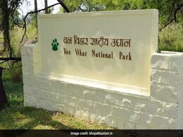 Oldest Tigress In Bhopal's Van Vihar National Park Dies Oldest Tigress In Bhopal's Van Vihar National Park Dies