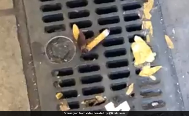 कॉकरोच का 'सिगरेट पीते' हुए Video हुआ वायरल, ट्विटर पर लोगों ने दिए ऐसे रिएक्शन्स