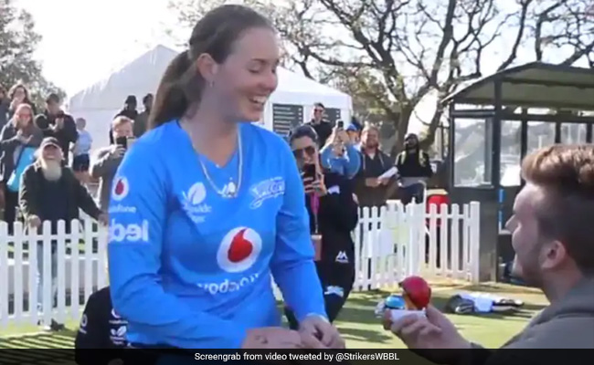 जीत का जश्न मना रही महिला क्रिकेटर के बॉयफ्रेंड ने मैदान में ही किया प्रपोज, मिला ये जवाब... देखें VIDEO