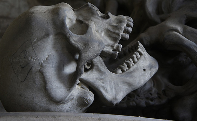 Over 40 Skulls, Fetus Found In Den Of Suspected Drug Traffickers In Mexico