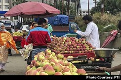 Why Apple Growers In Kashmir Still Use Road Route Despite Terror Threat Why Apple Growers In Kashmir Still Use Road Route Despite Terror Threat