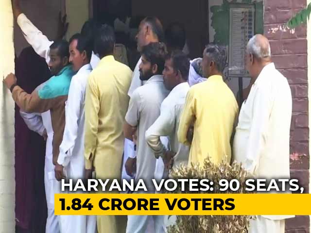 Advantage BJP As Voting Begins In Haryana