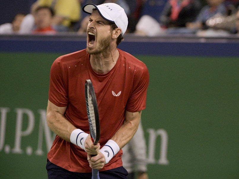 Andy Murray Shows Comeback Could Yet Have Fairytale Ending