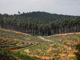 Malaysia Open To Davos Talks With India Amid Palm Oil Spat Malaysia Open To Davos Talks With India Amid Palm Oil Spat