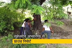 रवीश कुमार का प्राइम टाइम: वन विभाग की नाक के नीचे लकड़ी तस्कर सक्रिय रवीश कुमार का प्राइम टाइम: वन विभाग की नाक के नीचे लकड़ी तस्कर सक्रिय