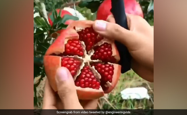 This "Beautiful" Pomegranate Slicing Hack Has 3 Million Views