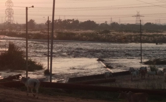 Ash Leak From Madhya Pradesh NTPC Plant Spills On Farms, Allege Villagers