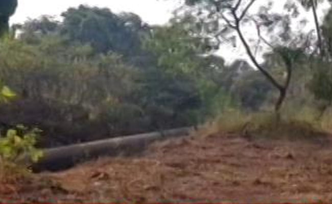 Aarey Protest Live Updates: Don't Cut Anymore Trees, Says Top Court On Mumbai's Aarey