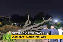 Tree Cutting Begins At Mumbai's Aarey Colony, Activists Protest Tree Cutting Begins At Mumbai's Aarey Colony, Activists Protest