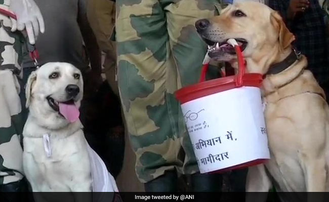 BSF Dog Squad Takes Part In <i>Swachhata Abhiyan</i> In Jammu